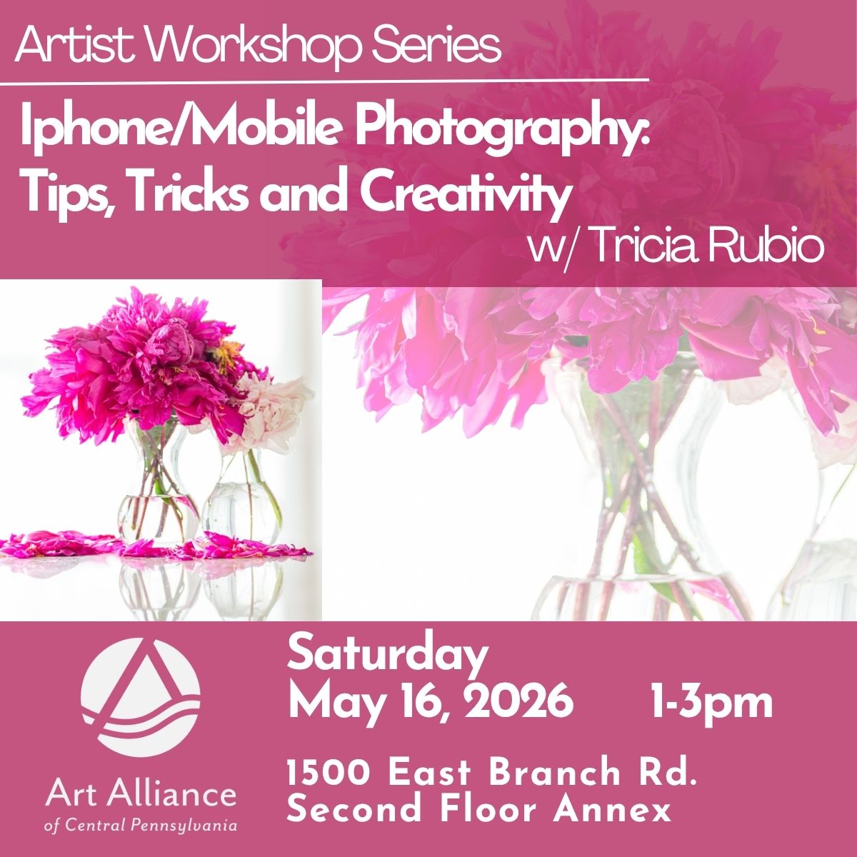 Iphone/Mobile Photography: Tips, Tricks and Creativity