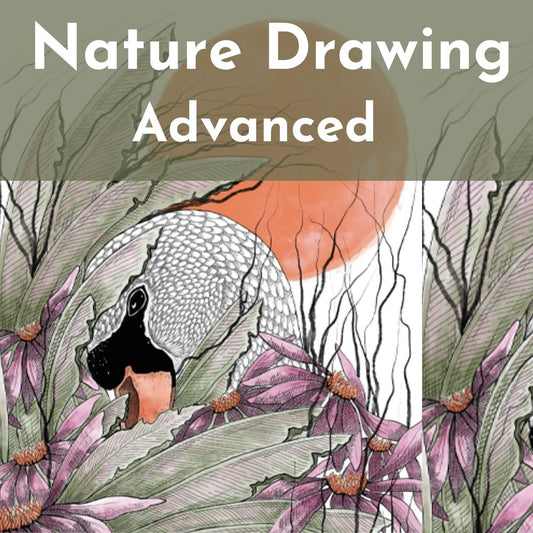 Nature Drawing - Advanced