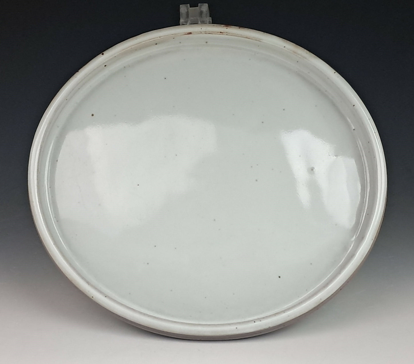 Oval Bonsai Pot with Tray