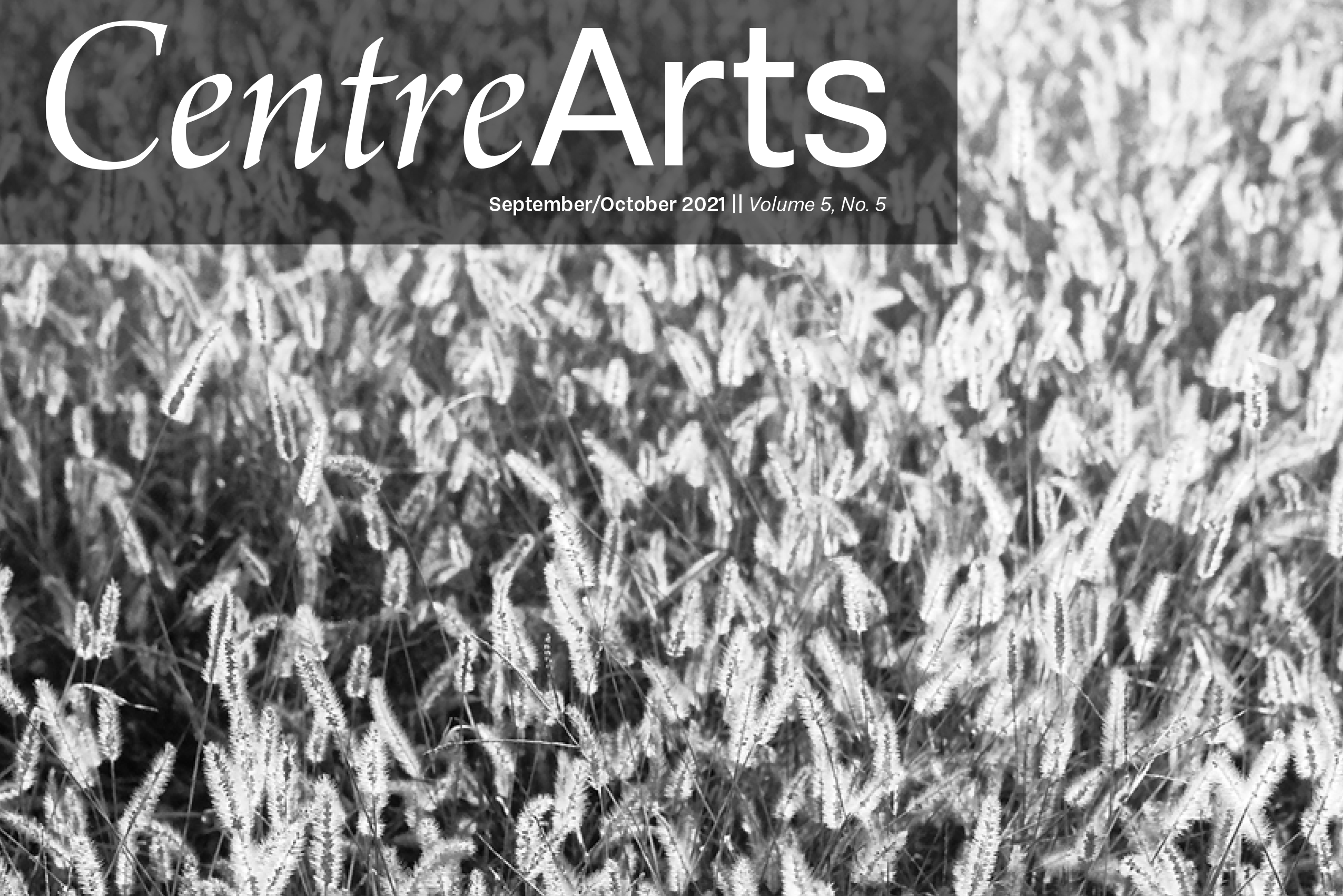 cover image for Centre Arts