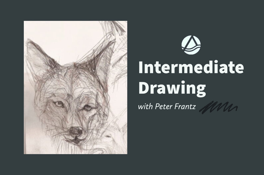 Intermediate Drawing 