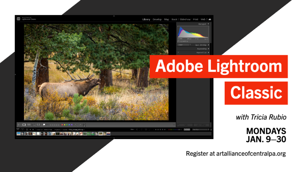 Adobe Lightroom Classic April 28, 2020